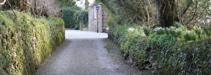 The Driveway